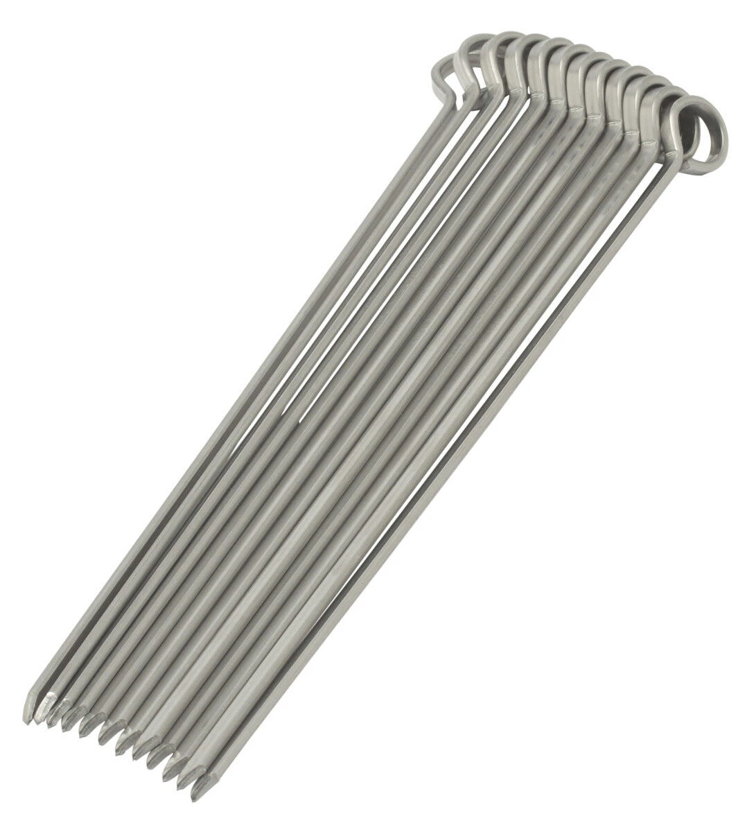 Oldenhof Vleesspies 35 Cm Rvs 12 Stuks