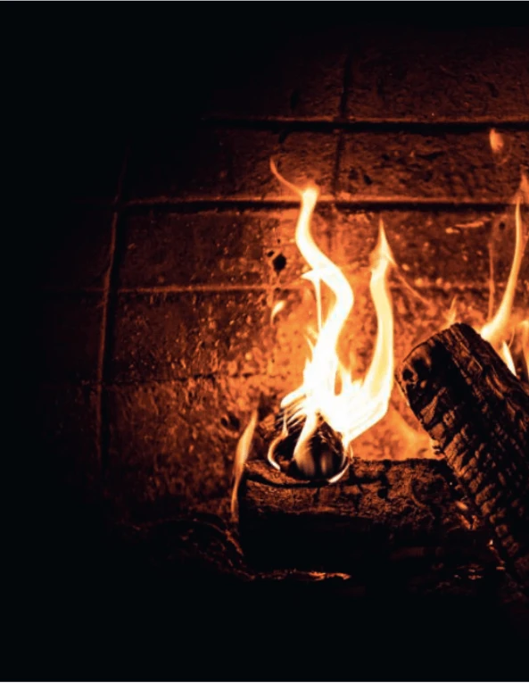 Smokey Goodness - Burgers & BBQ Bites - Image 6